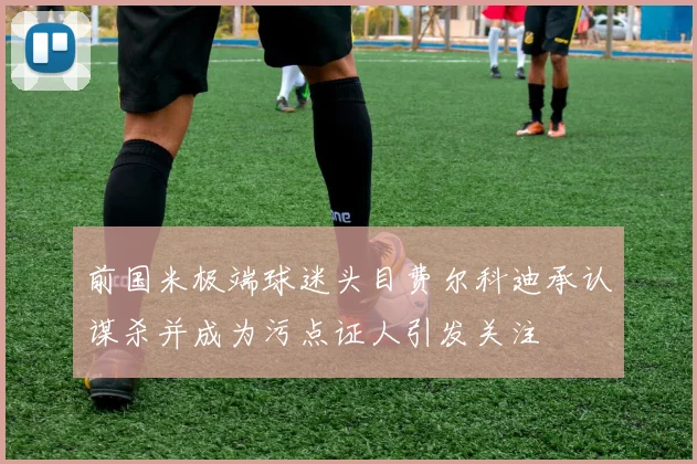前国米极端球迷头目费尔科迪承认谋杀并成为污点证人引发关注